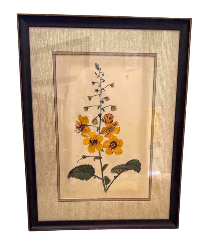 Photo 1 of FRAMED BOTANICAL FLORAL ARTWORK 27” x 34”