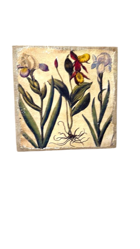 Photo 1 of CANVAS BOTANICAL FLORAL ARTWORK 16” x 16”