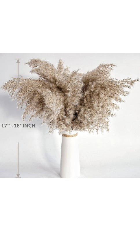 Photo 2 of Pampas Grass Decor, Natural Dry Pampas Grass Small, Short Pampass Bulk for Farmhouse, Wall, Kitchen, Bedroom Decor, Office Decor (17 inch )