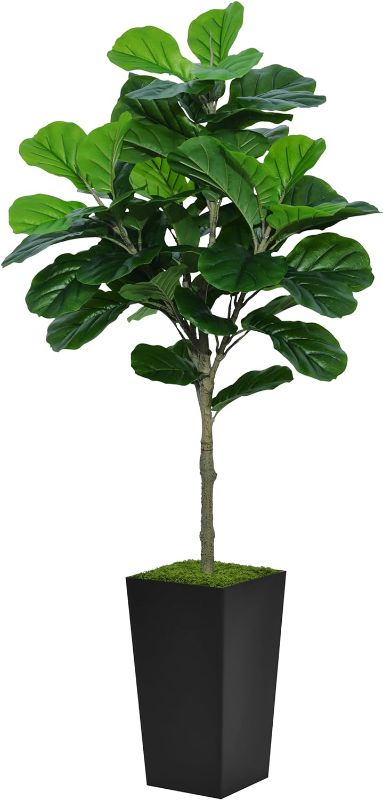 Photo 1 of ASTIDY Fiddle Leaf Fig Tree Artificial 5FT - Faux Fiddle Leaf Fig Plant with Black Tall Planter - Fake Ficus Lyrata Floor Plant in Pot - Artificial Fig Tree for Home Office Living Room Decor Indoor Black Fiddle Leaf Fig