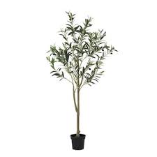 Photo 1 of  StyleWell 4.17 ft. Indoor Artificial Olive Tree