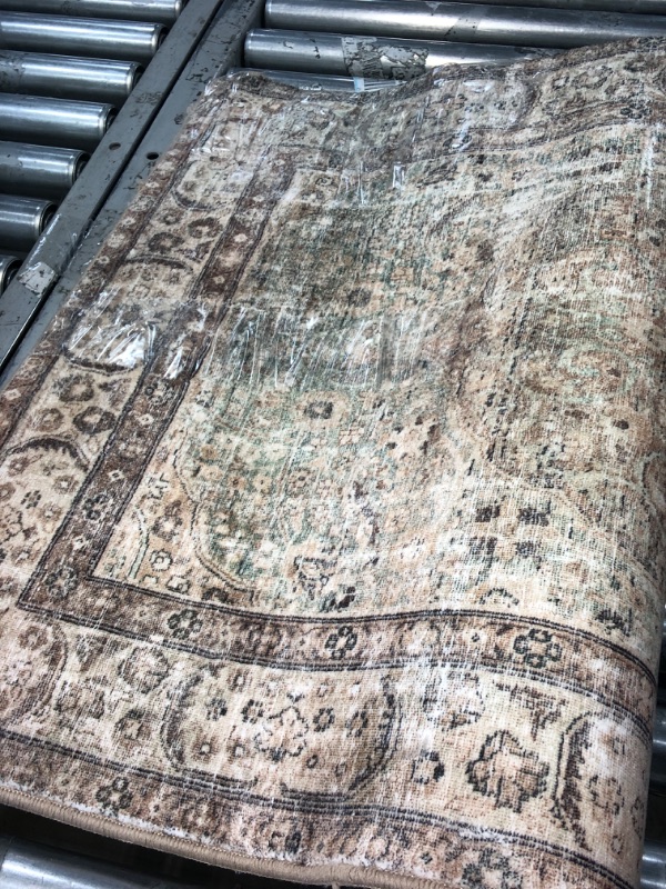Photo 1 of Spring Valley Home Robbie ROB-01 Area Rug