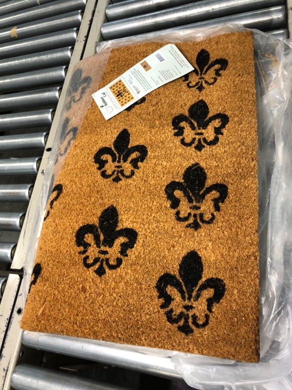 Photo 2 of "French Coat of Arms" - a Fleur de Lis Doormat - 24 x 57 inches - OEM