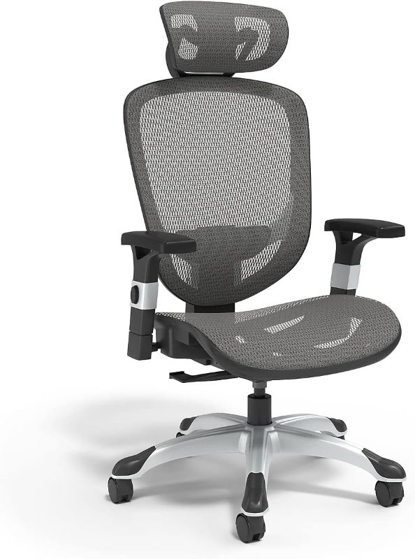 Photo 1 of FlexFit Hyken Mesh Task Chair - Adjustable Office Chair with Lumbar, Arm and Head Support