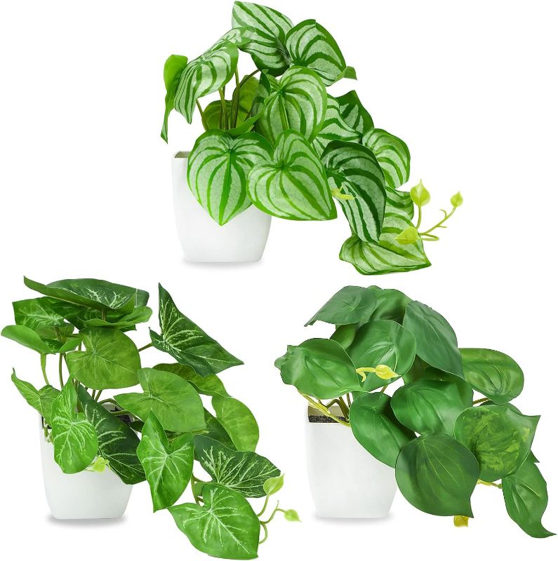 Photo 1 of CEWOR Small Fake Plants,3 Packs,Artificial Plants,Artificial Leaves Room Decor,Bedroom Decor Aesthetic Indoor