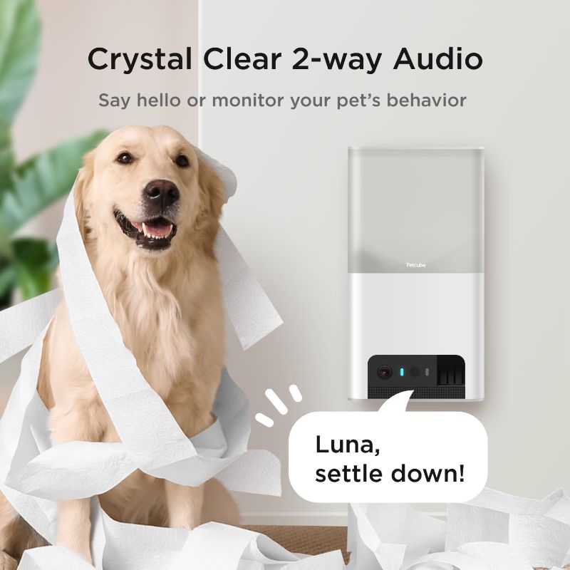 Photo 2 of Petcube Bites 2 Lite Interactive WiFi Pet Monitoring Camera with Phone App and Treat Dispenser, 1080p HD Video, Night Vision, Two-Way Audio, Sound and Motion Alerts, Cat and Dog Monitor