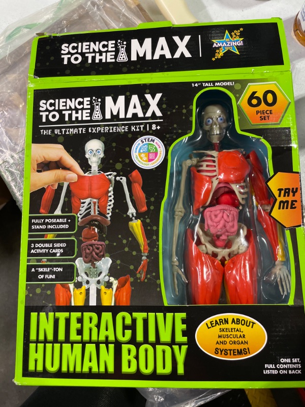 Photo 1 of Be Amazing! Toys Interactive Human Body - 60 Piece Fully Poseable Anatomy Figure – 14” Tall Model - Anatomy Kit – Removable Muscles, Organs,Bones STEM Toy – Ages 8+