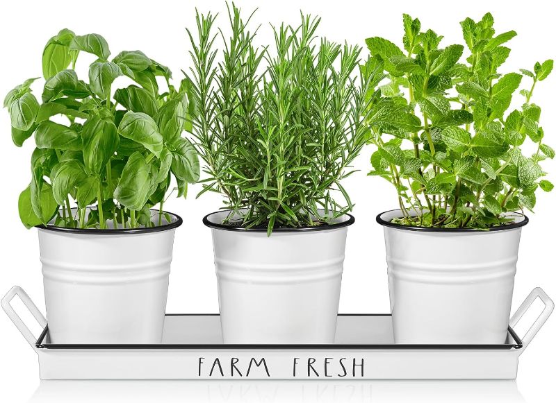 Photo 1 of 	4.4  53
DAYYET Farmhouse Herb Garden Planter Indoor Window Planter Set with Tray, White Windowsill Herb Planter Pots with Drainage for Outdoor or Indoor Planters, Set of