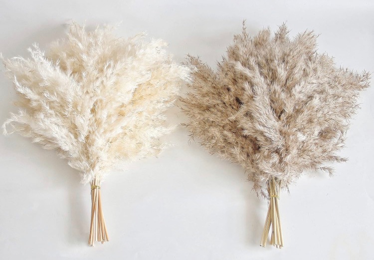 Photo 1 of 2 PCS Boho Decor, Fluffy Pompas Grass, Natural Dry Pampas Grass Small, Short Pampass Bulk for Boho Room Decor, Coffee Table Decor (17 inch )