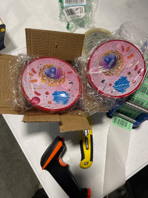 Photo 2 of Cross Sectional Foam Animal Cell Model | Great for Classroom Learning, Teaching & STEM Kits | Clearly Labeled Organelles | Strong Magnet Connectors | Useful for Biology, Anatomy & Science Projects