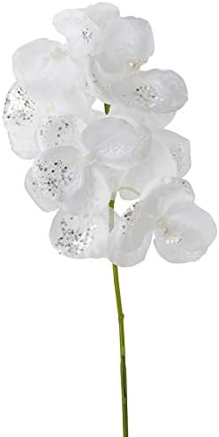 Photo 1 of 
White Poly Silk Moth Orchid Floral Stem with Pearls and Mica Glitter | for Indoor Decor


