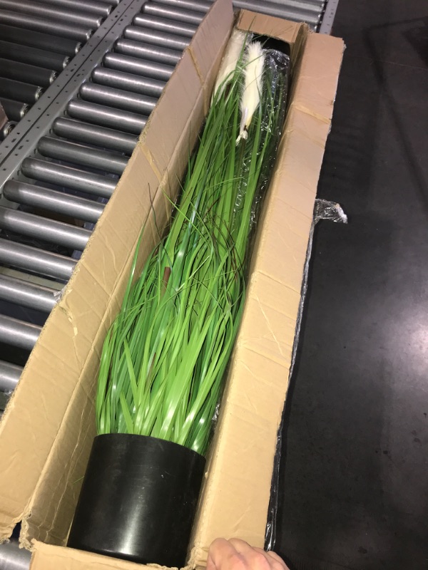 Photo 2 of (READ FULL POST) Luxsego Artificial Plants Reed Greenery Flowers, Potted Tall Silk Fake Pampas Grass for Home, Office, Wedding Decor, Faux Plants for Her or Him(46in, White)
