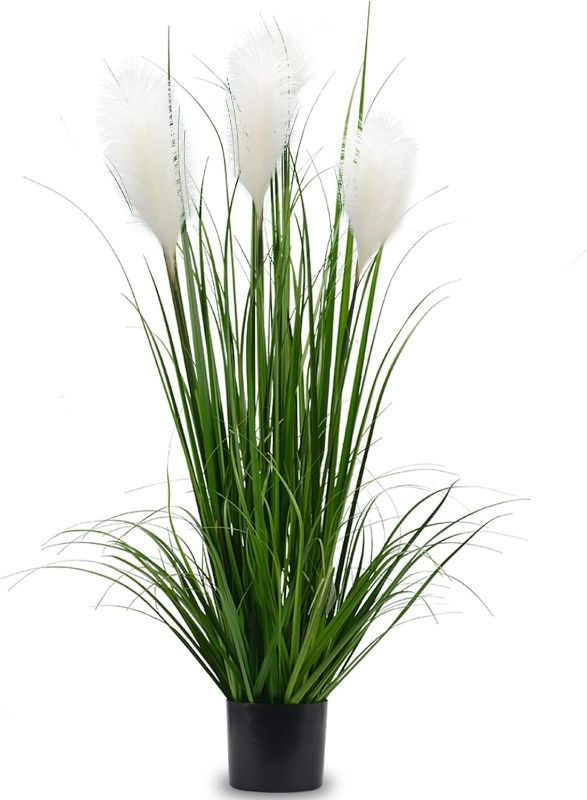 Photo 1 of (READ FULL POST) Luxsego Artificial Plants Reed Greenery Flowers, Potted Tall Silk Fake Pampas Grass for Home, Office, Wedding Decor, Faux Plants for Her or Him(46in, White)
