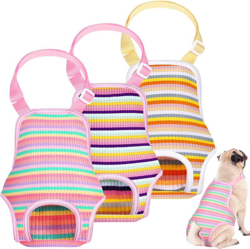 Photo 1 of 3 Pieces Dog Diaper Striped Sanitary Pantie with Adjustable Suspender Washable Reusable Puppy Sanitary Panties Cute Pet Underwear Diaper Jumpsuits for Female Dogs (Rainbow Pattern, S)
