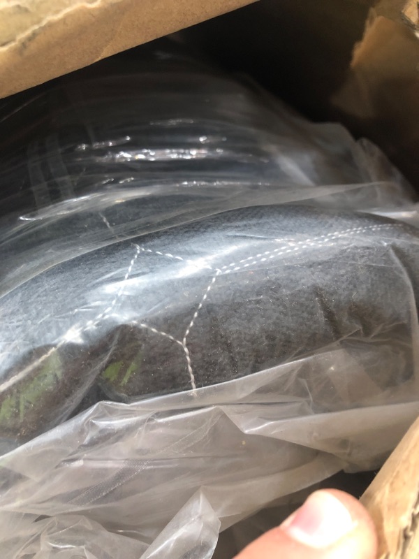 Photo 1 of 12" Green Foam Certified Pocket Spring Mattress - Full

