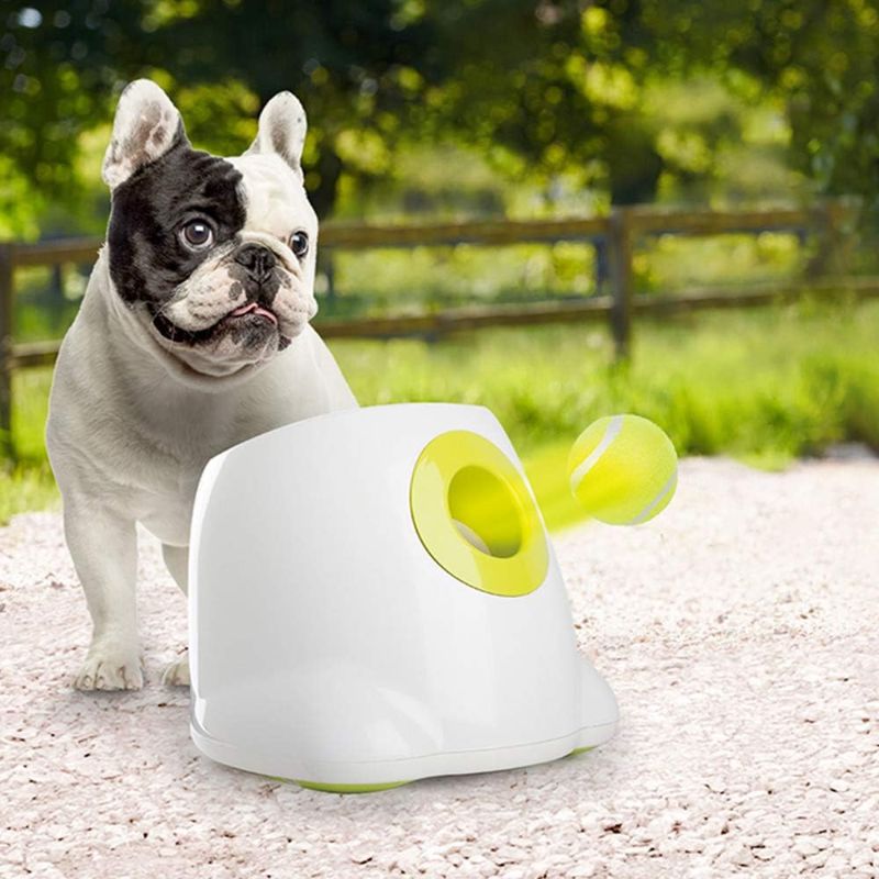 Photo 1 of ALL FOR PAWS Dog Automatic Ball Launcher for Small Dogs, Dog Tennis Ball Throwing Machine, 3 Balls Included
