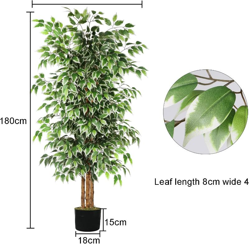 Photo 3 of (READ FULL POST) GTIDEA 6Ft Artificial Ficus Tree, Tall Faux Plants Indoor with Natural Trunk and Fake Silk Tree for Outdoor Balcony Living Room Office Home Decor (Included Dried Moss) 6ft Ficus Tree