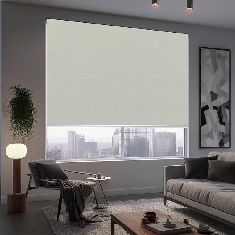 Photo 1 of 100% Blackout Roller Window Shades, Window Blinds with Thermal Insulated Fabric, Corded Roll pull down shades for home and office(Lightgrey/Silver-Width 58", Max Drop Height 79")