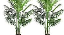 Photo 1 of 2 Pack 5.2ft Artificial Palm Tree for Home Decor Indoor and Outdoor, Faux Tree, Plastic Plants with 15 Trunks, for Office, Lounge and Patio Decoration, 5.2ft/1.6m Height Set of 2 Trees