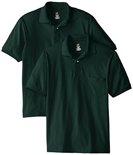 Photo 1 of Hanes EcoSmart Men's Jersey Polo Shirt, 2-Pack Deep Forest L