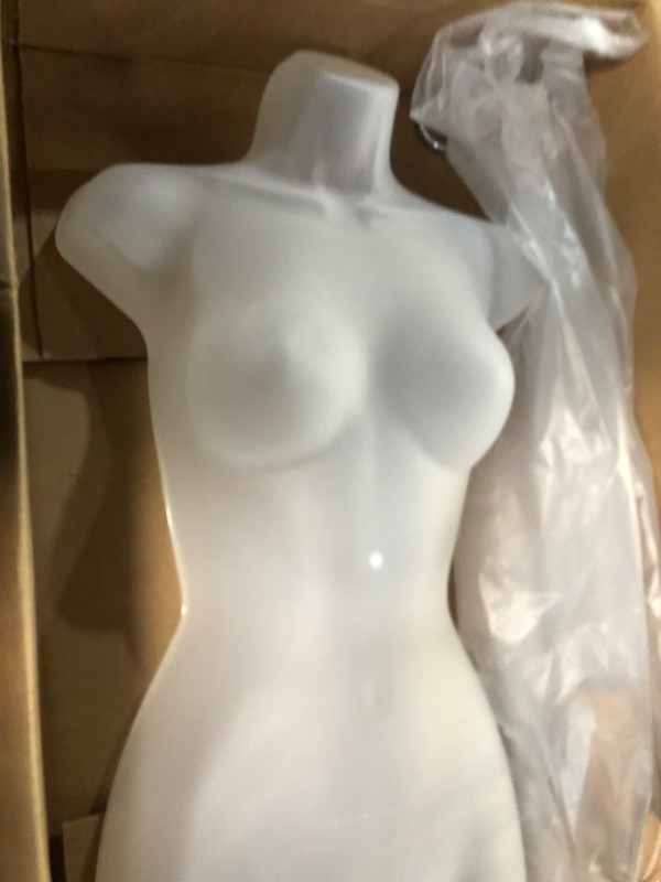 Photo 3 of Female Molded Shatterproof Frosted Shapely Torso Form with Hook