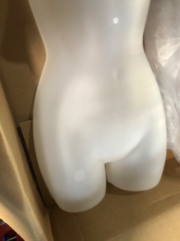 Photo 2 of Female Molded Shatterproof Frosted Shapely Torso Form with Hook