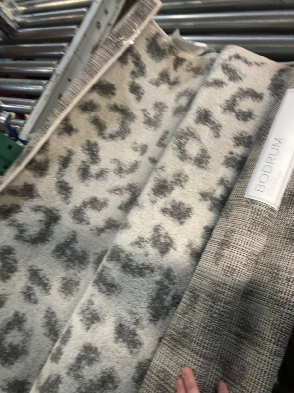 Photo 2 of ***USED - DIRTY - NO PACKAGING***
nuLOOM Print Leopard Area Rug, 3' x 5', Grey