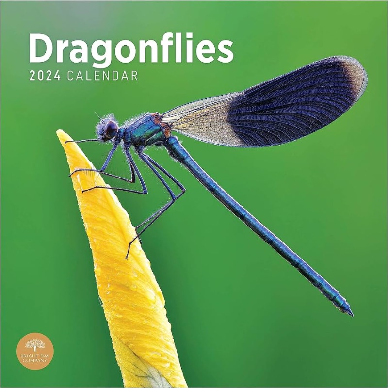 Photo 1 of 2024 Dragonflies Monthly Wall Calendar by Bright Day