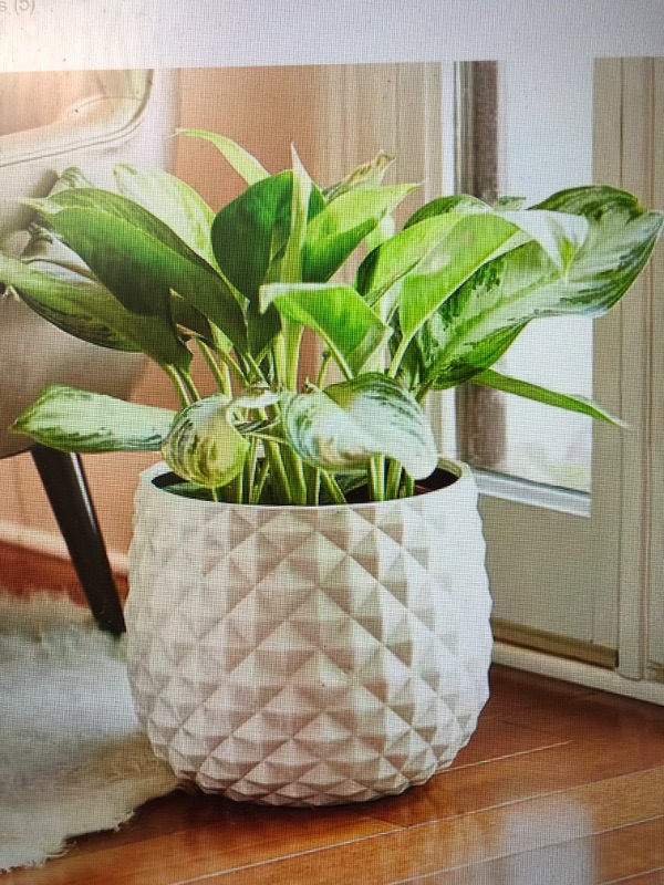 Photo 3 of Pineapple Medium 12 in.   Indoor/Outdoor Planter