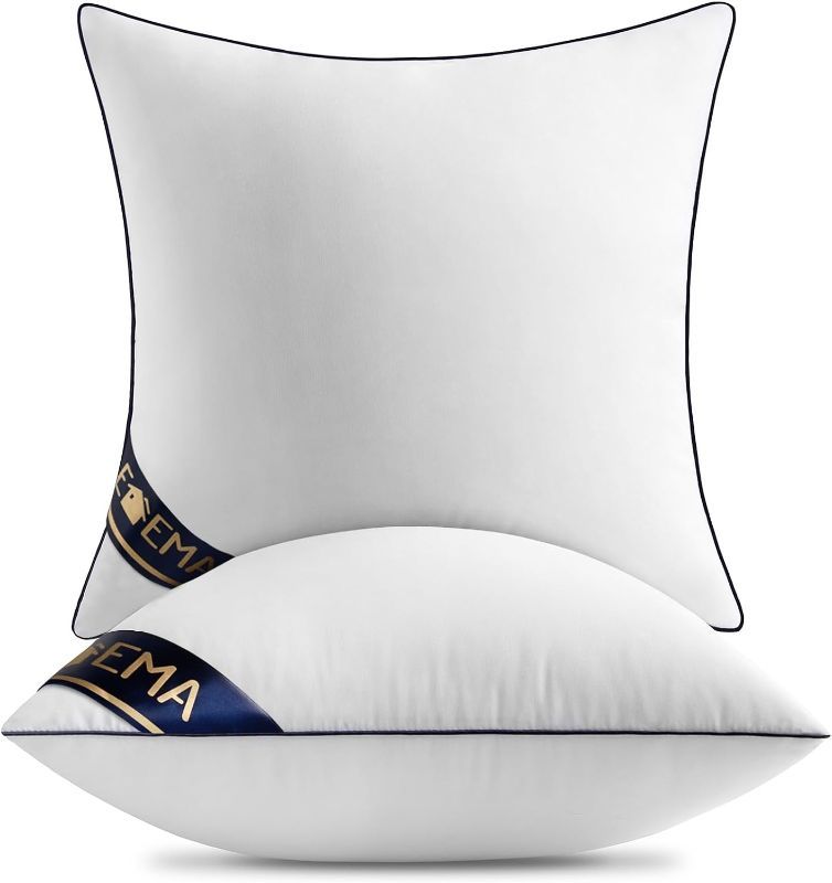 Photo 1 of (READ FULL POST) EMEMA Set of 2 Throw Pillow Inserts 18x18 Inch