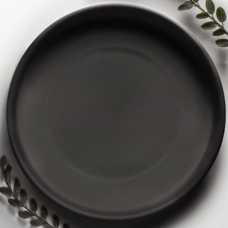 Photo 1 of 5 Inch Black Ceramic Plant Saucer - Plant Drip Trays for 12,13,14 Inch Planters - Plant Saucers for Indoors - Plant Trays for Pots - Plant Pot Saucers - Plant Water Tray - Plant Dishes Saucer