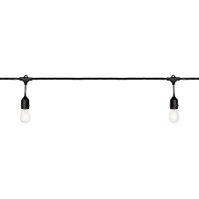 Photo 1 of 12-Light 24 ft. Black Indoor/Outdoor Commercial Incandescent Edison String Light