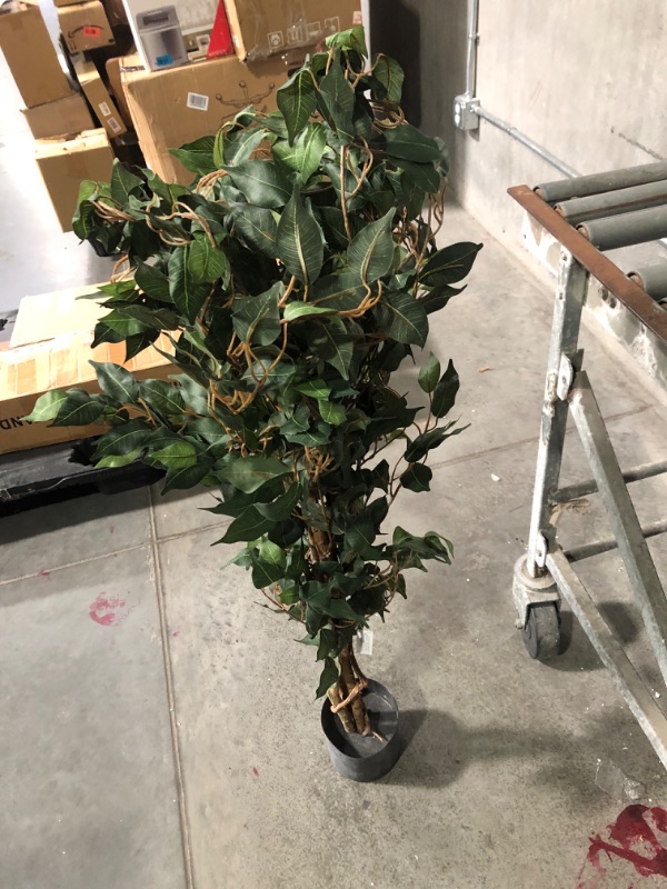 Photo 4 of ***USED - DIRTY AND DUSTY - LEAVES CURVED INWARDS - NO PACAKGING - SEE PICTURES***
Nearly Natural 5299 Ficus Silk Tree, 4-Feet, Green 