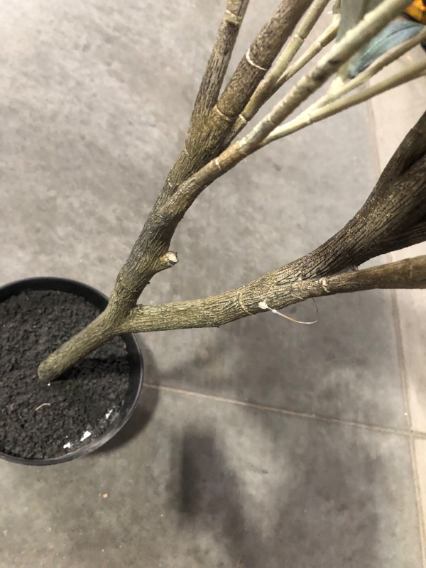 Photo 3 of ***USED - BRANCHES BROKEN OFF - NO PACKAGING - SEE PICTURES***
Artificial Potted Plant, Green/Grey, 5 Feet