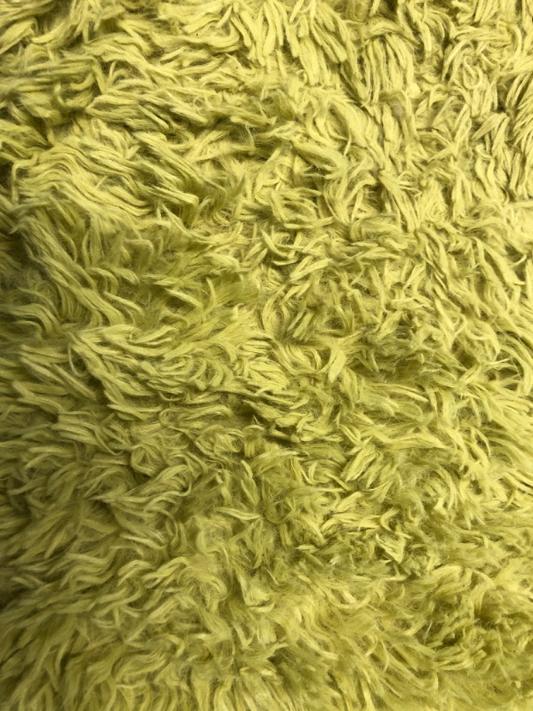 Photo 3 of (HEAVILY USED) AREA RUG GRINCH GREEN 93 1/2 INCHES X 59 INCHES 