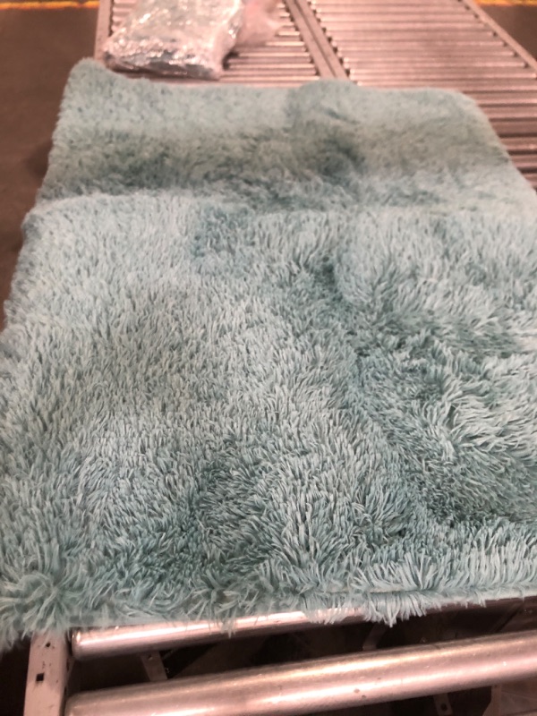 Photo 2 of (see all images) OHWPEAT Plush Area Rugs for Bedroom Turquoise Green, 4'X6' Rug