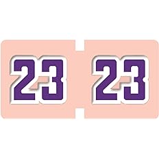 Photo 1 of *STOCK PIC FOR REFERENCE* 2023 Year Stickers Self Adhesive,MACIKWON 300pcs Colored File Folder Labels for End Tab File Folders Office Supplies Medical Practices Healthcare Facilities Doctors Offices (Pink)