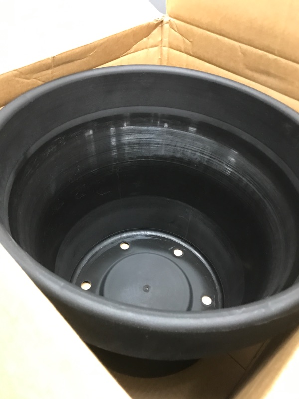 Photo 2 of Bloem Terra Pot 16" Planter - Black