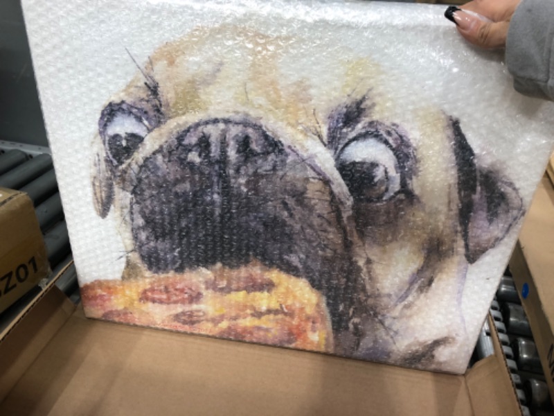 Photo 2 of 16x20 pug and pizza funny dog canvas