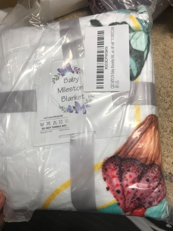 Photo 1 of Baby Milestone Blanket 
