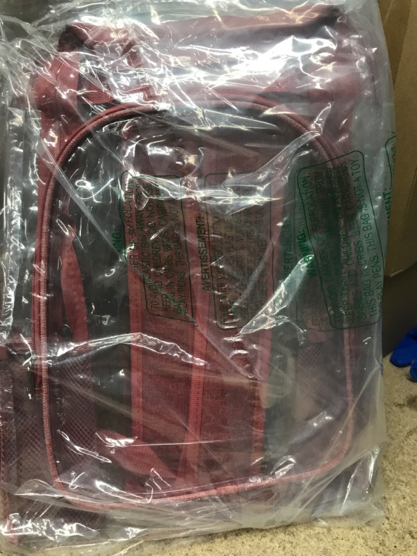 Photo 1 of  Red Clear Backpack 