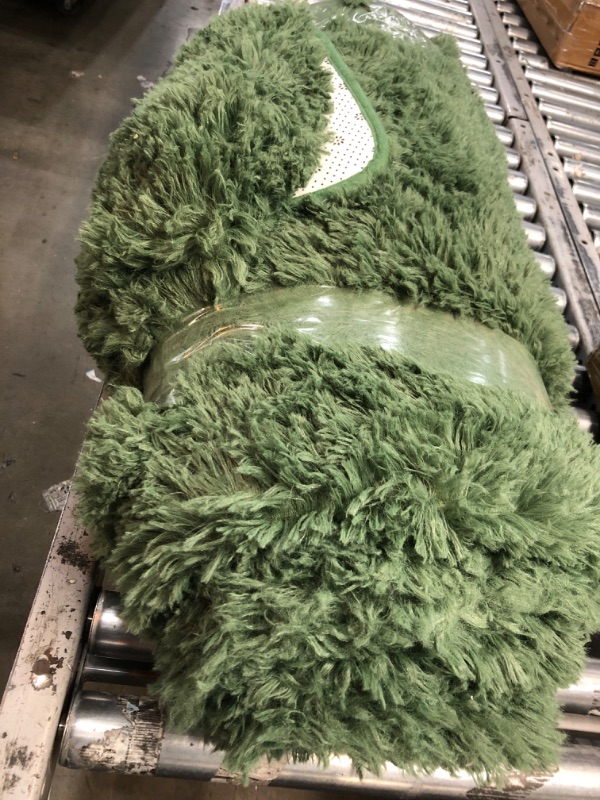 Photo 1 of 4' x 6' green fluffy area rug 