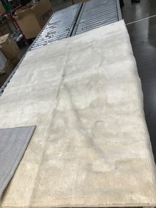 Photo 1 of 4' x 6' White Furry Rug