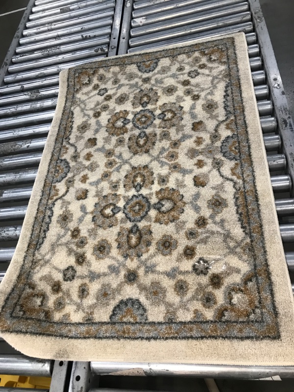 Photo 1 of 30" x 46" Rug
