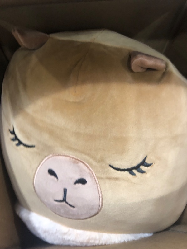 Photo 2 of Squishmallows Original 14-Inch Lijjian Brown Capybara - Official Jazwares Large Plush