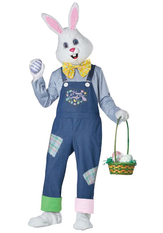Photo 1 of Plus Size Happy Easter Bunny Costume
