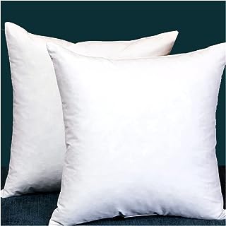 Photo 1 of Set of 2, Square Decorative Throw Pillows Inserts Down and Feather Pillow Insert, Cotton Fabric, 18 X 18 Inches