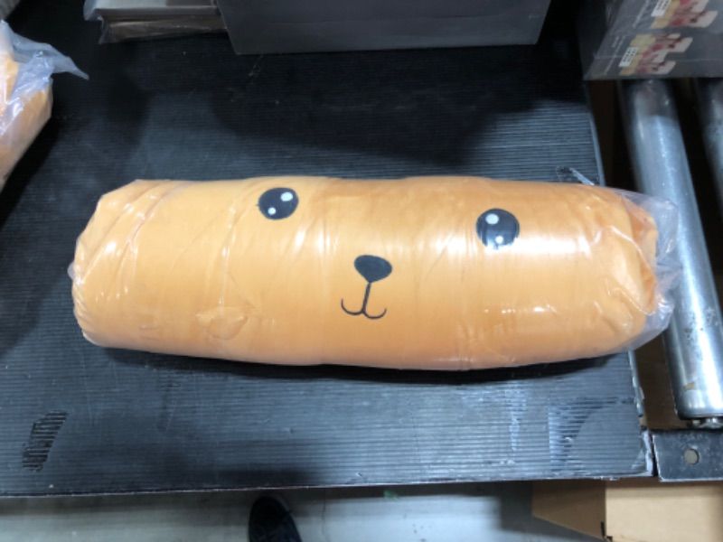 Photo 1 of BEAVER PLUSH PILLOW!?!?