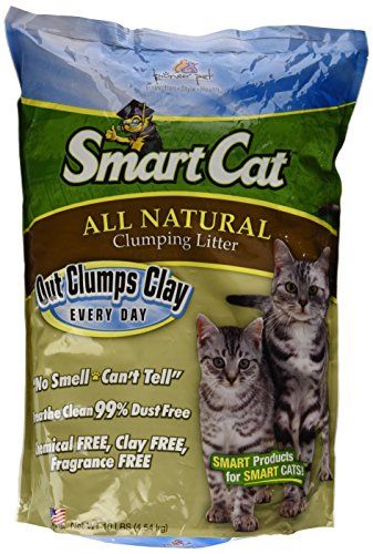 Photo 1 of SmartCat Unscented Clumping Grass Cat Litter, 10-lb Bag
