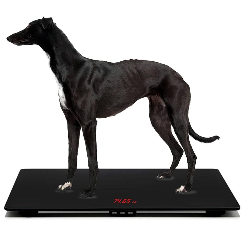 Photo 1 of Multifunctional Pet Weight Scale for Large Dogs, Temp-Glass Big Dog Scale Hold 220lbs Animals with A Mat, ±10 Grams Accuracy, for Home and Vet Clinic Use

